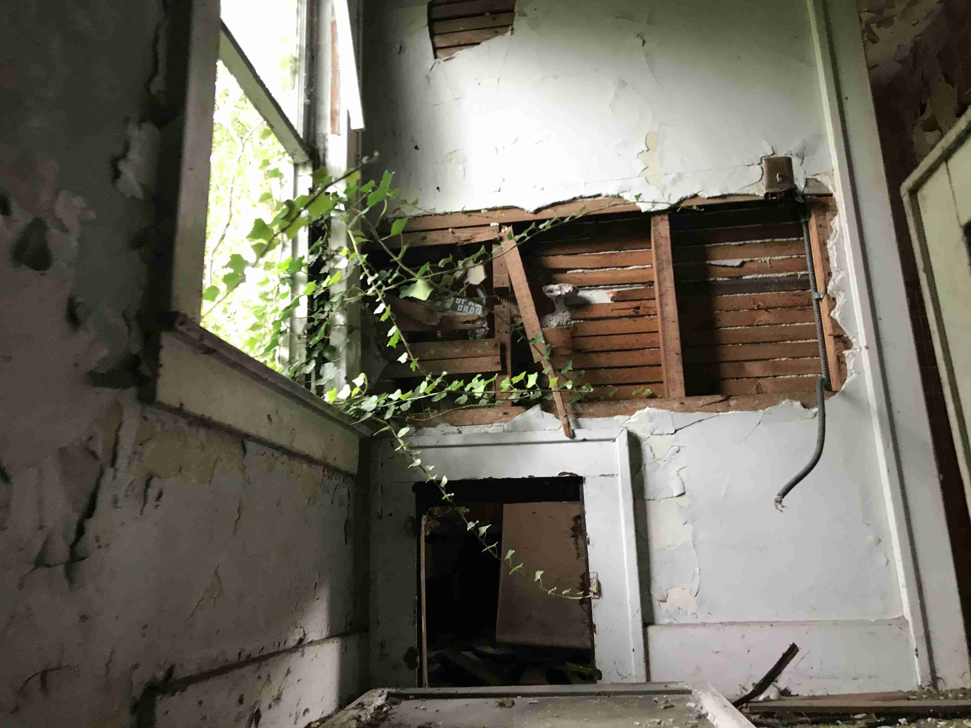 Photo Sep 10, 2 50 33 PM.jpg